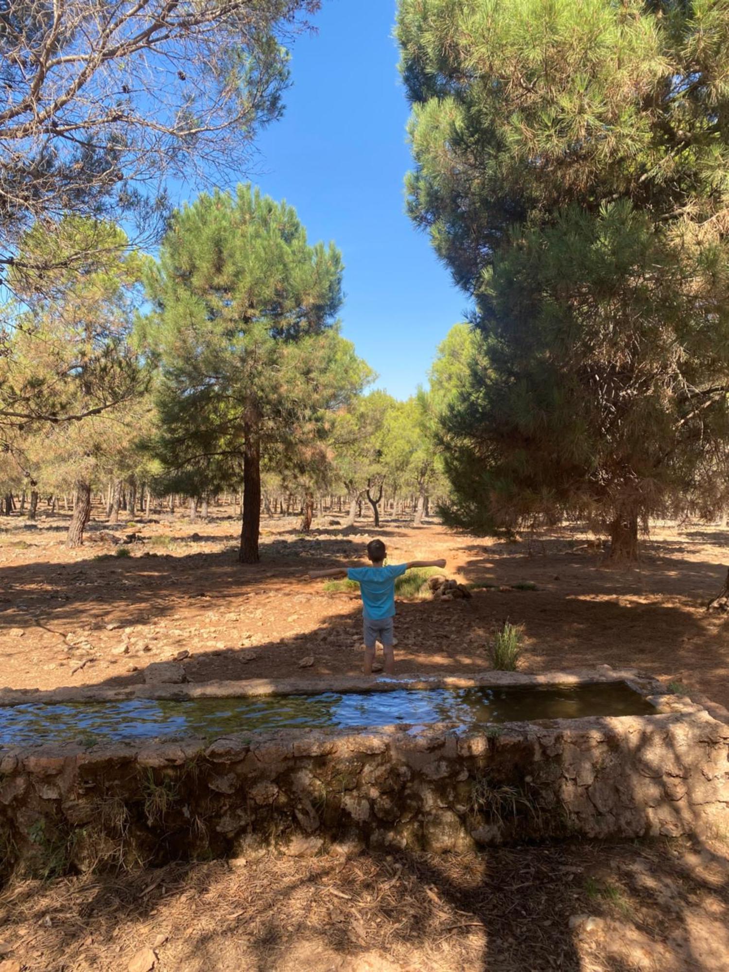 شقة Casita Rural La Rosa De La Huerta Con Chimenea Interior موناتْشيل المظهر الخارجي الصورة